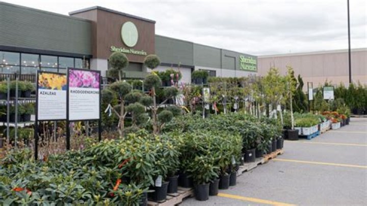 Angela Sheridan – Garden City, SC