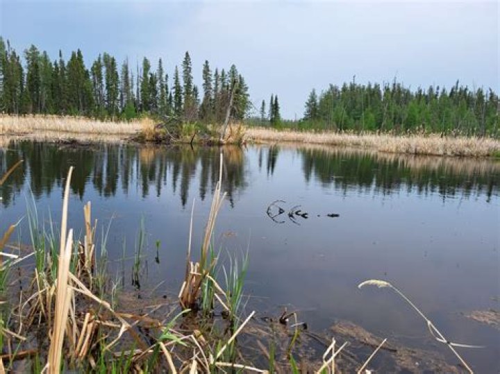 Carla (Quinney) Burns – Temple, TX