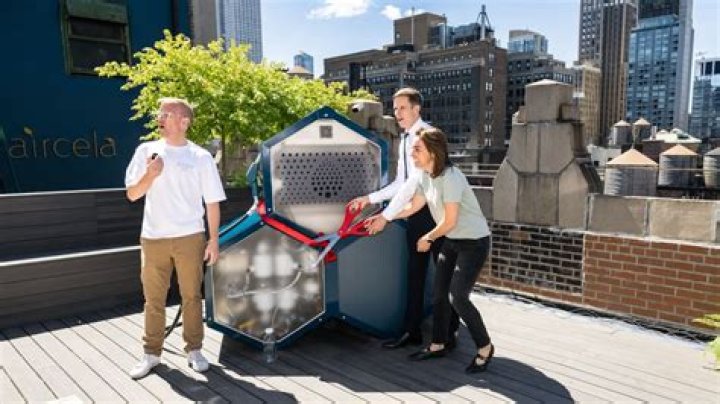 Dr. Anita Cela, MD – New York, NY