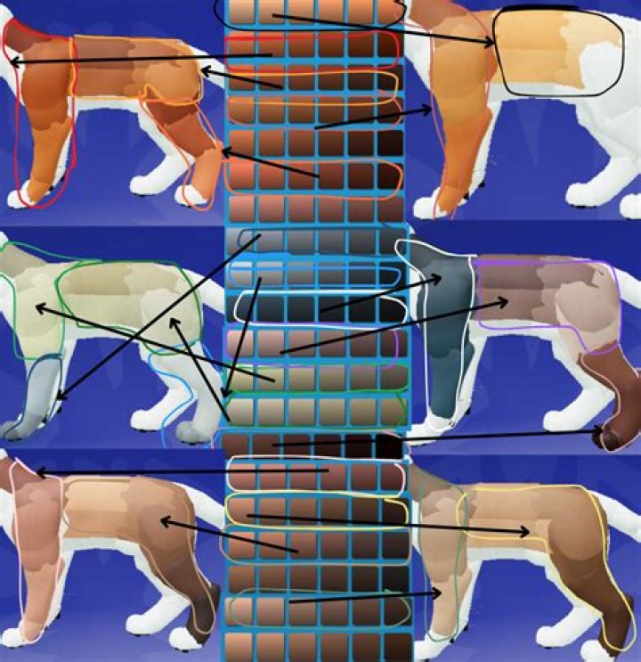 Ginger Gates – Chattanooga, TN