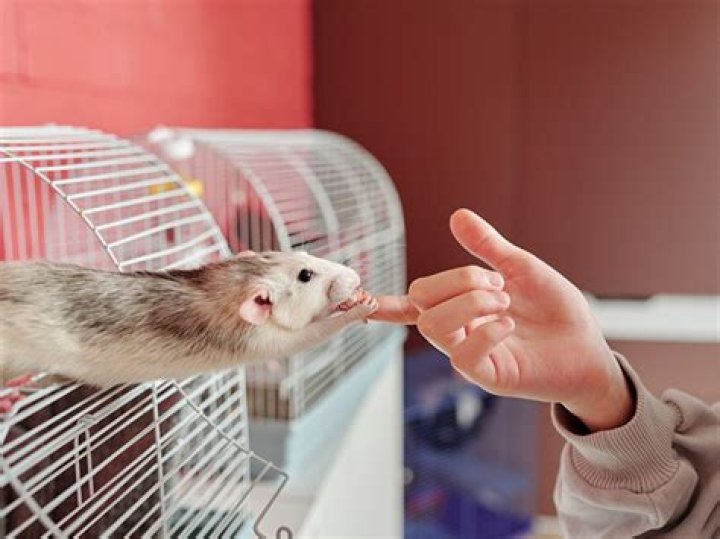 Sidney Sparks – Richlands, VA